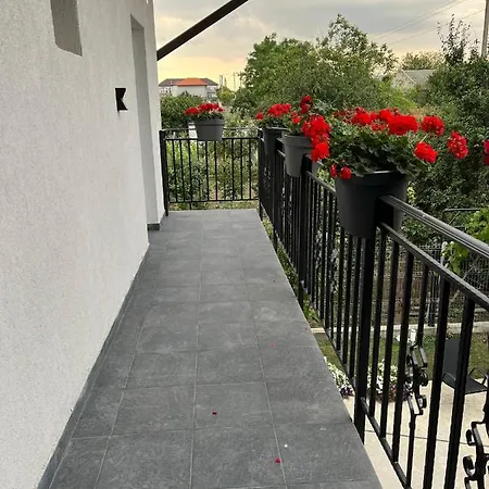 Maison 25 בית הארחה