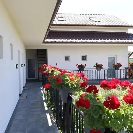 Pensionat Maison 25 Două Mai