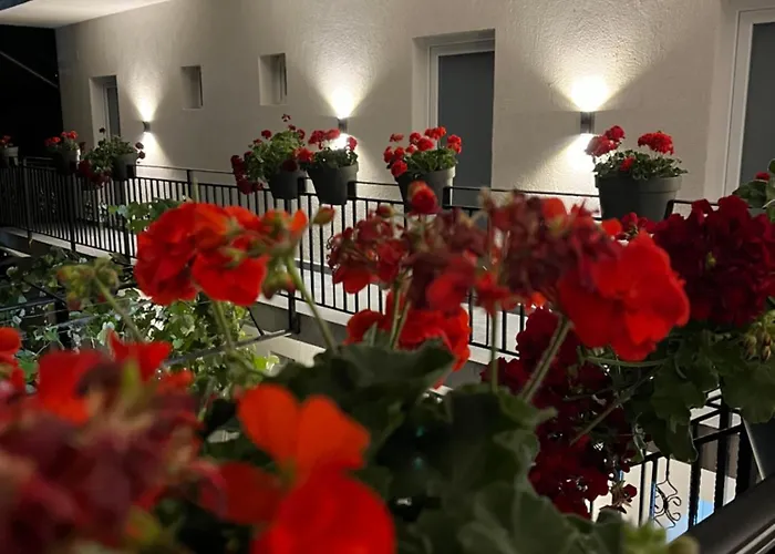 Pensionat Maison 25 Două Mai