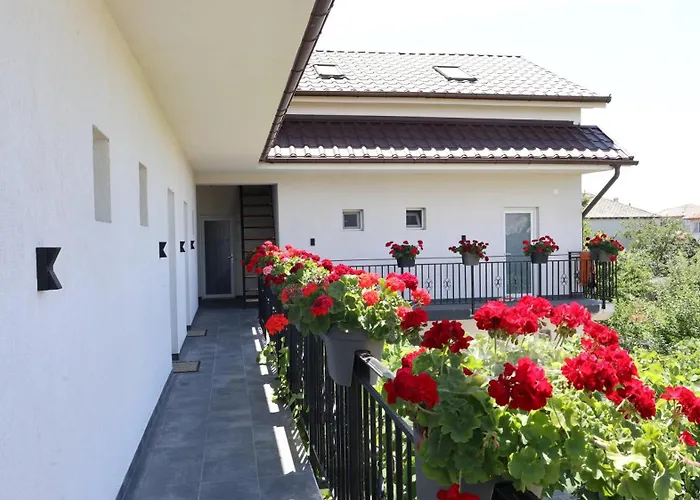 Pensionat Maison 25 Două Mai